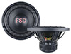 FSD audio Master 12 D2 Pro